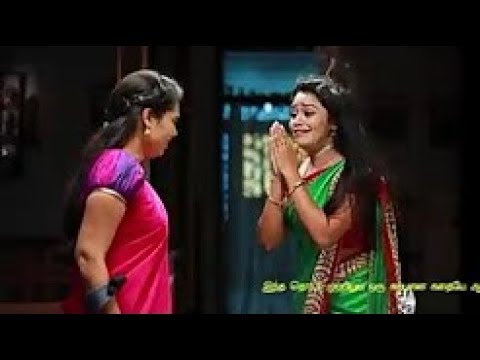 saravanan meenatchi tv show episodes